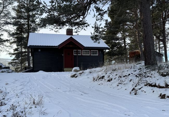 Cabin in Hol - Cozy cabin in Geilo Cabin in Hol - Cozy cabin in Geilo