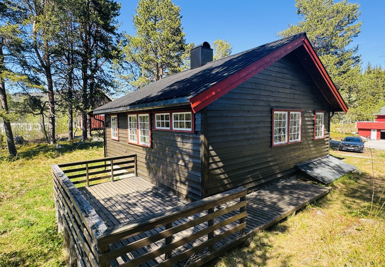 Cabin in Hol - Cozy cabin in Geilo
