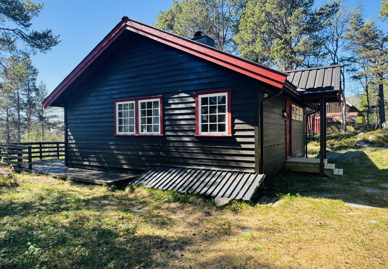 Cabin in Hol - Cozy cabin in Geilo