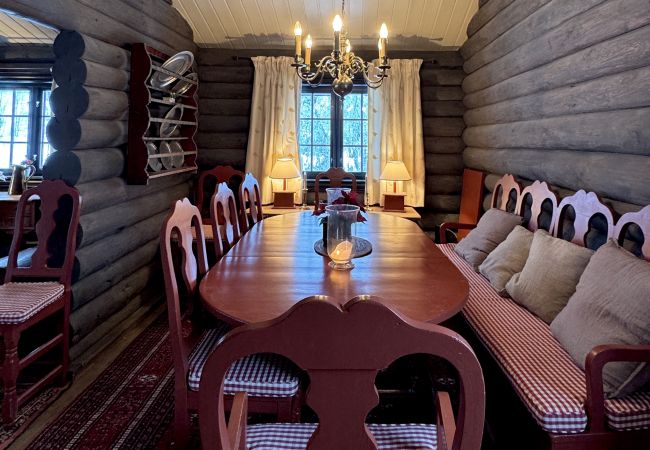 Cabin in Hol - Large, cozy, and spacious cabin in Geilo Cabin in Hol - Large, cozy, and spacious cabin in Geilo
