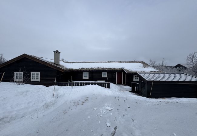 Cabin in Hol - Large, cozy, and spacious cabin in Geilo Cabin in Hol - Large, cozy, and spacious cabin in Geilo