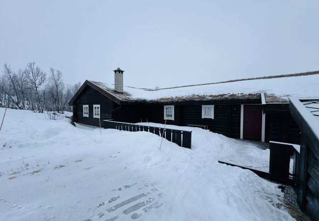 Cabin in Hol - Large, cozy, and spacious cabin in Geilo Cabin in Hol - Large, cozy, and spacious cabin in Geilo