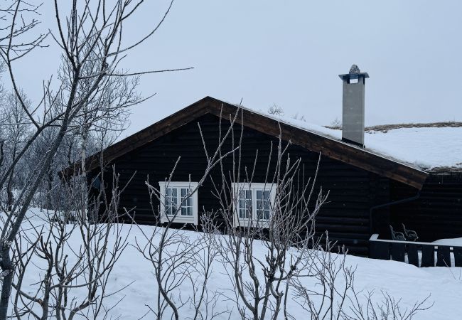Cabin in Hol - Large, cozy, and spacious cabin in Geilo Cabin in Hol - Large, cozy, and spacious cabin in Geilo