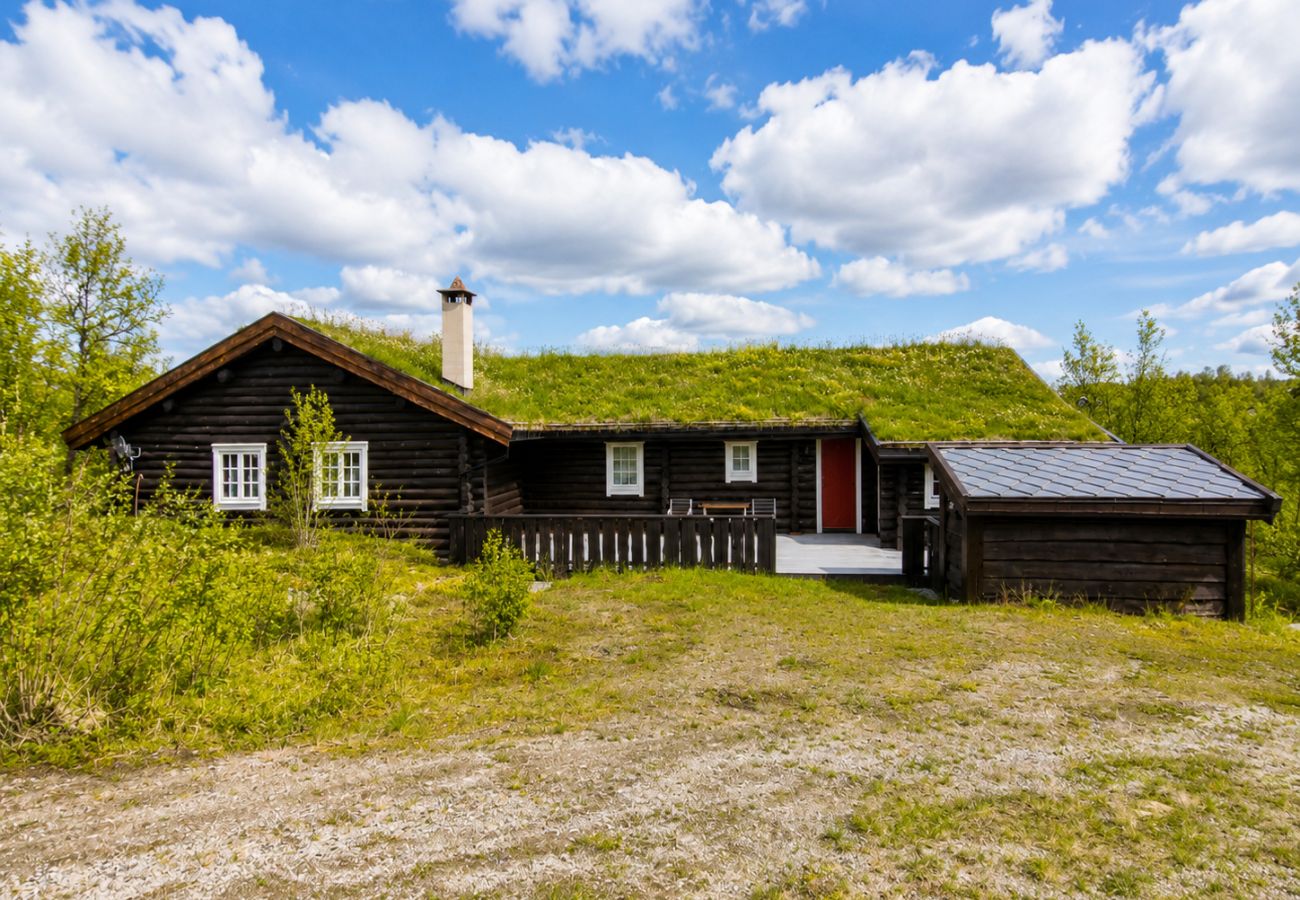 Cottage in Hol - Large, cozy, and spacious cabin in Geilo