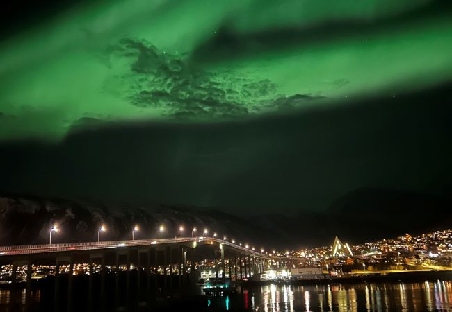 Apartment in Tromsø - Arctic Panorama Apartment in Tromsø - Arctic Panorama