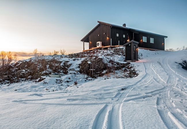 Cabin in Vågan - Fredheim, Northern Light Lodge Cabin in Vågan - Fredheim, Northern Light Lodge