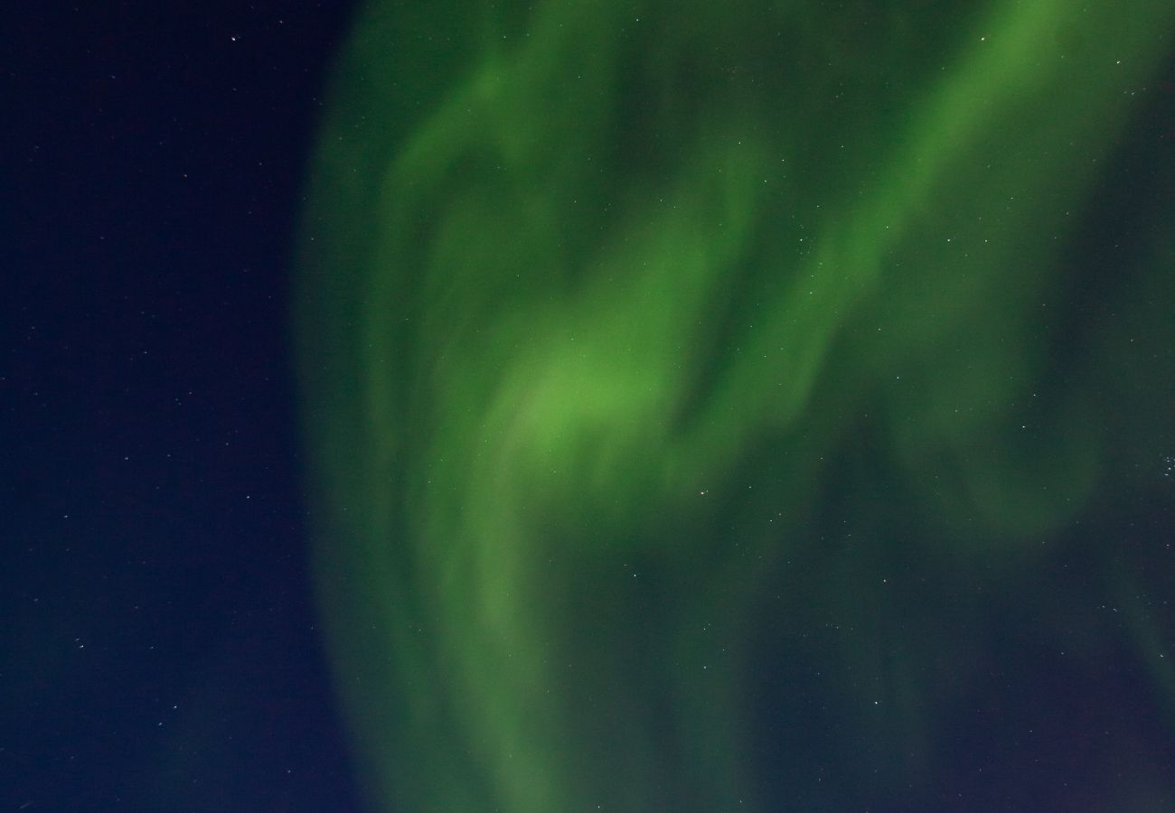 Cabin in Vågan - Fredheim, Northern Light Lodge