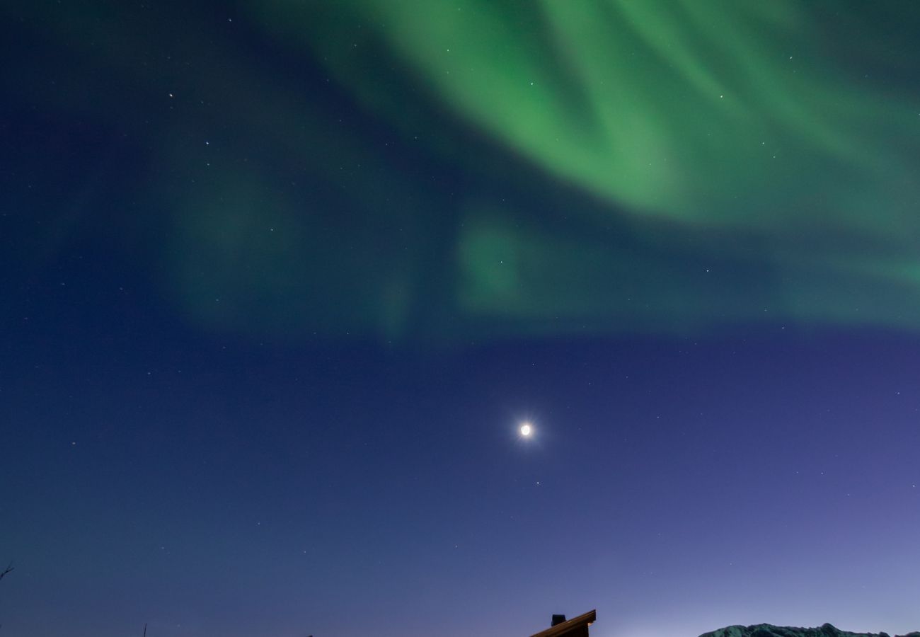 Cabin in Vågan - Fredheim, Northern Light Lodge