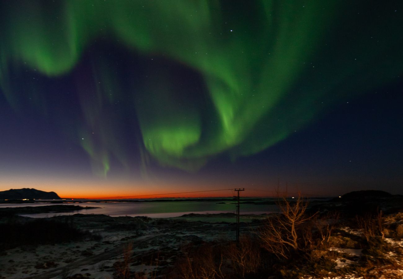 Cabin in Vågan - Fredheim, Northern Light Lodge