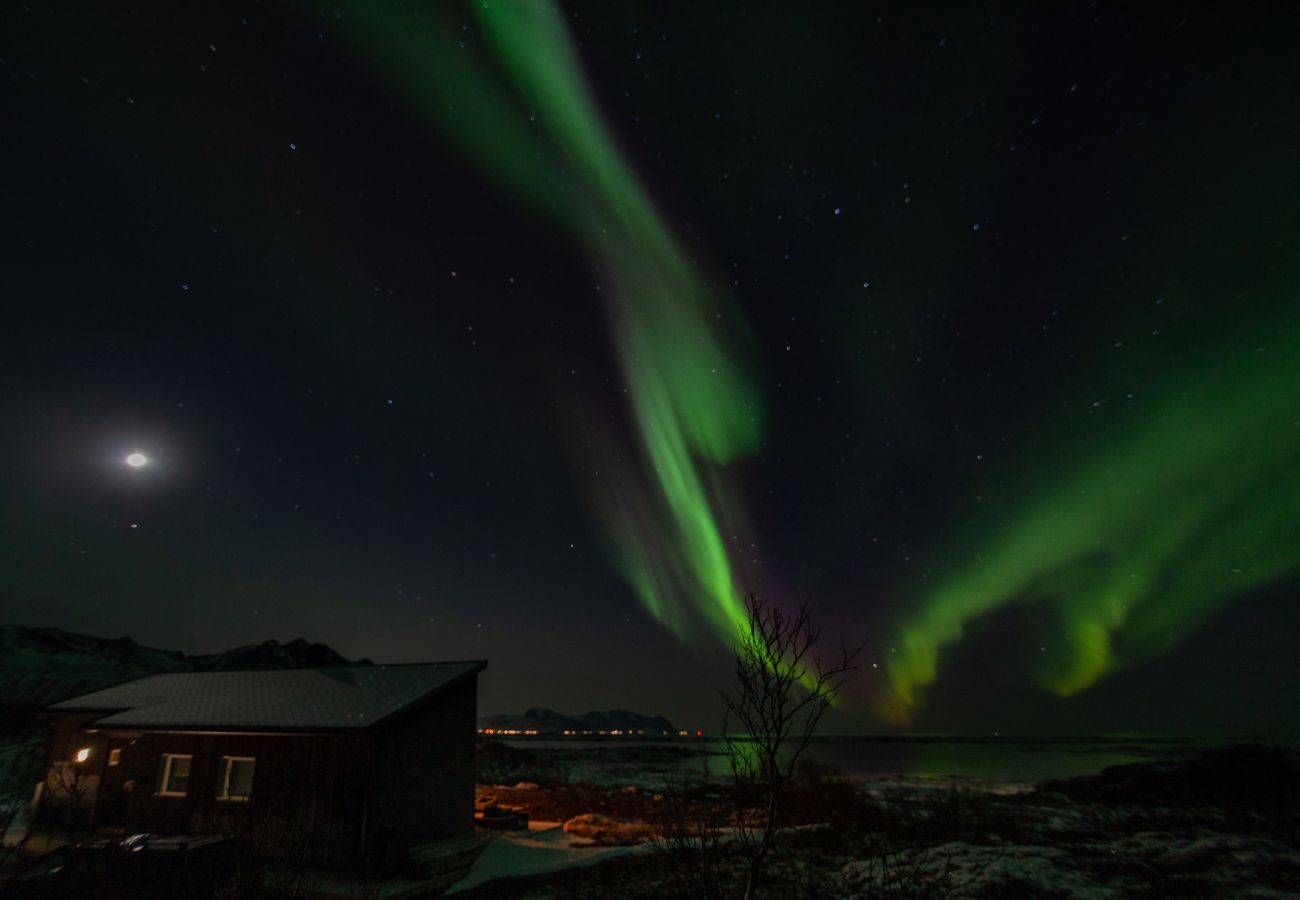Cabin in Vågan - Fredheim, Northern Light Lodge