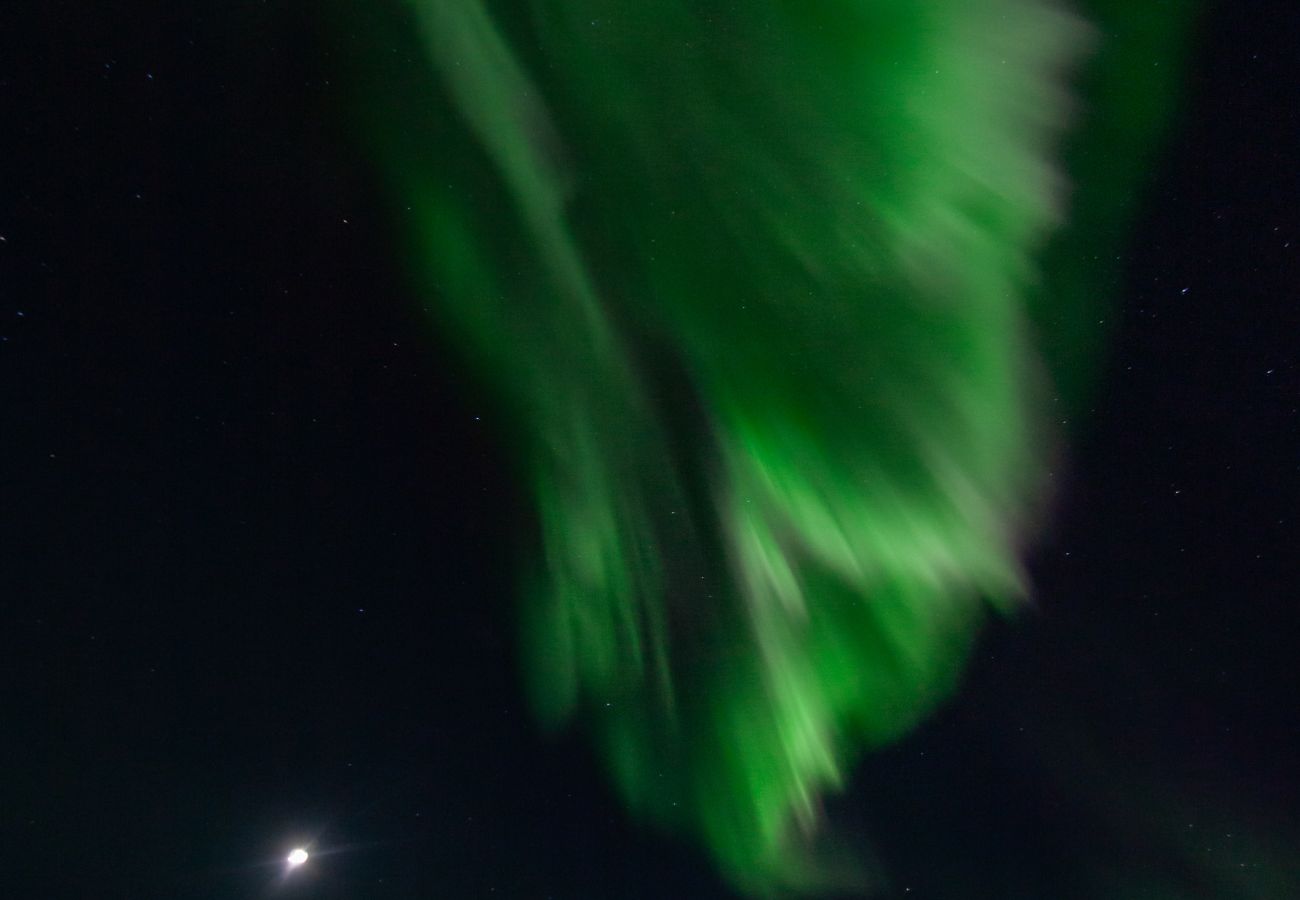 Cabin in Vågan - Fredheim, Northern Light Lodge