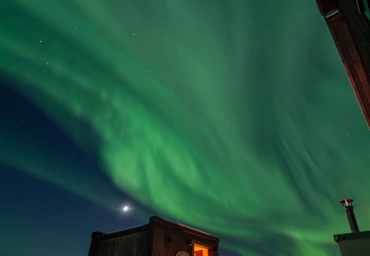 Cabin in Vågan - Fredheim, Northern Light Lodge