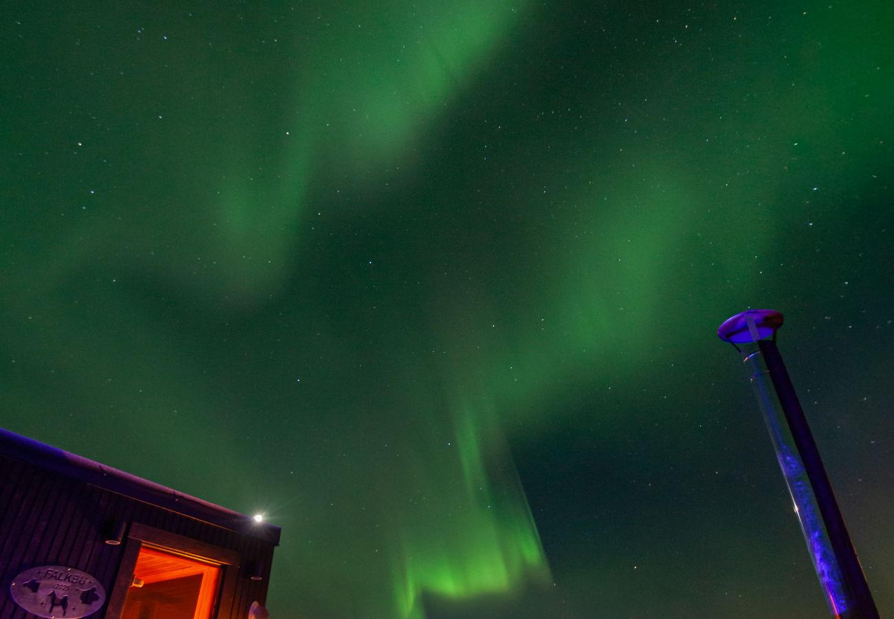 Cabin in Vågan - Fredheim, Northern Light Lodge