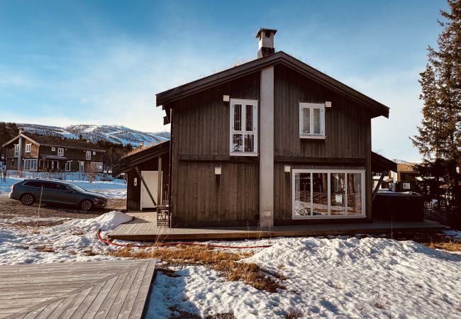 Cabin in Hol - Harmony in Geilo – Modern and cozy cabin with jacuzzi Cabin in Hol - Harmony in Geilo – Modern and cozy cabin with jacuzzi