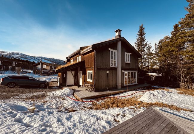 Cabin in Hol - Harmony in Geilo – Modern and cozy cabin with jacuzzi Cabin in Hol - Harmony in Geilo – Modern and cozy cabin with jacuzzi