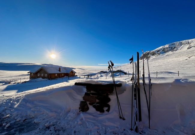 Cabin in Hol - Harmony in Geilo – Modern and cozy cabin with jacuzzi Cabin in Hol - Harmony in Geilo – Modern and cozy cabin with jacuzzi