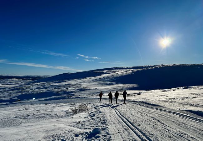 Cabin in Hol - Harmony in Geilo – Modern and cozy cabin with jacuzzi Cabin in Hol - Harmony in Geilo – Modern and cozy cabin with jacuzzi