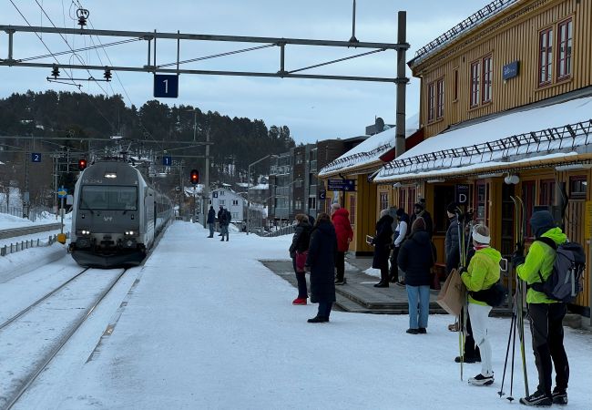 Cabin in Hol - Harmony in Geilo – Modern and cozy cabin with jacuzzi Cabin in Hol - Harmony in Geilo – Modern and cozy cabin with jacuzzi