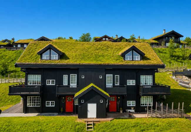 Apartment in Hol - Fully equipped ski-in/ski-out apartment at Kikut, Geilo