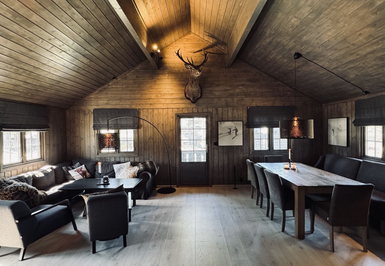 Cabin in Hol - Dream cabin by Geilo – ski-in/ski-out with room for the whole family!