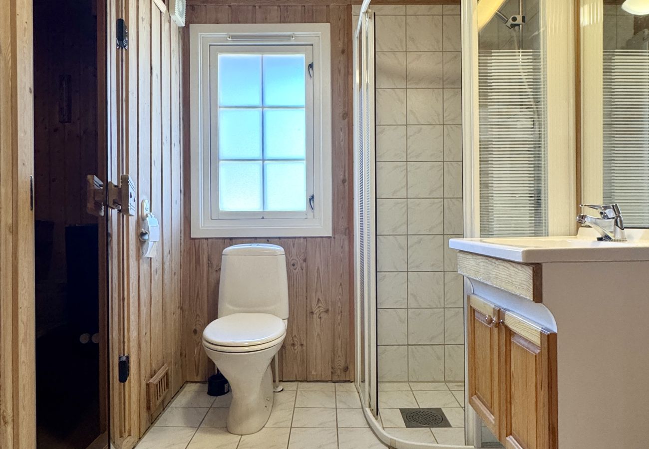Cabin in Hol - Dream cabin by Geilo – ski-in/ski-out with room for the whole family!