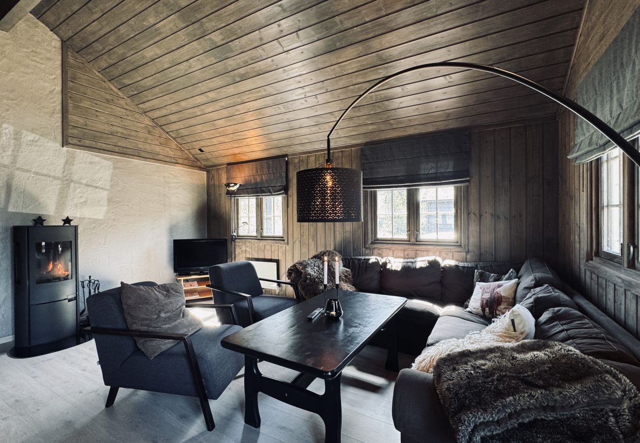 Cabin in Hol - Dream cabin by Geilo – ski-in/ski-out with room for the whole family!