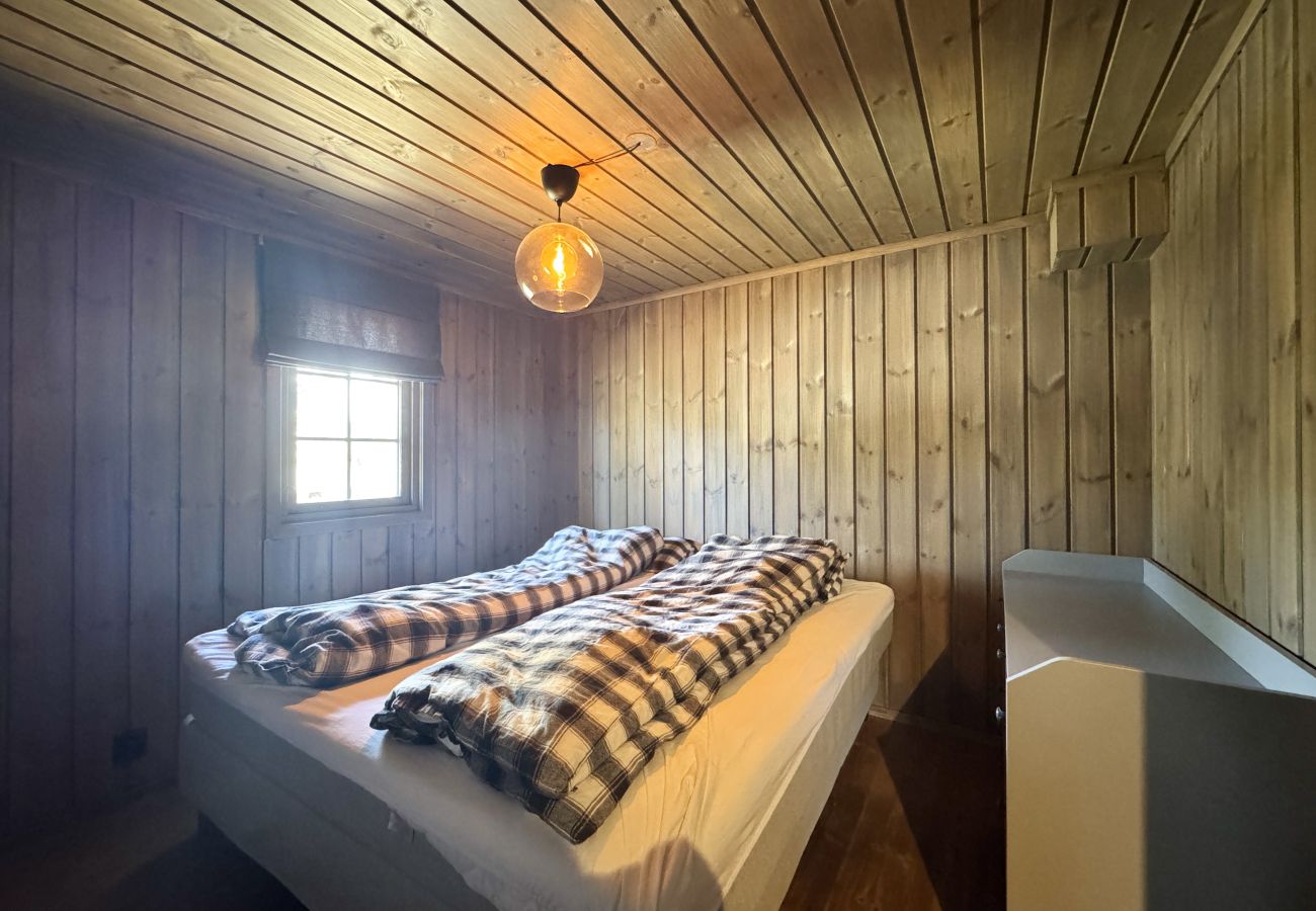 Cabin in Hol - Dream cabin by Geilo – ski-in/ski-out with room for the whole family!