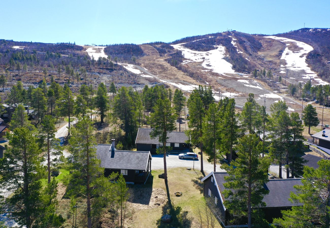 Cabin in Hol - Dream cabin by Geilo – ski-in/ski-out with room for the whole family!