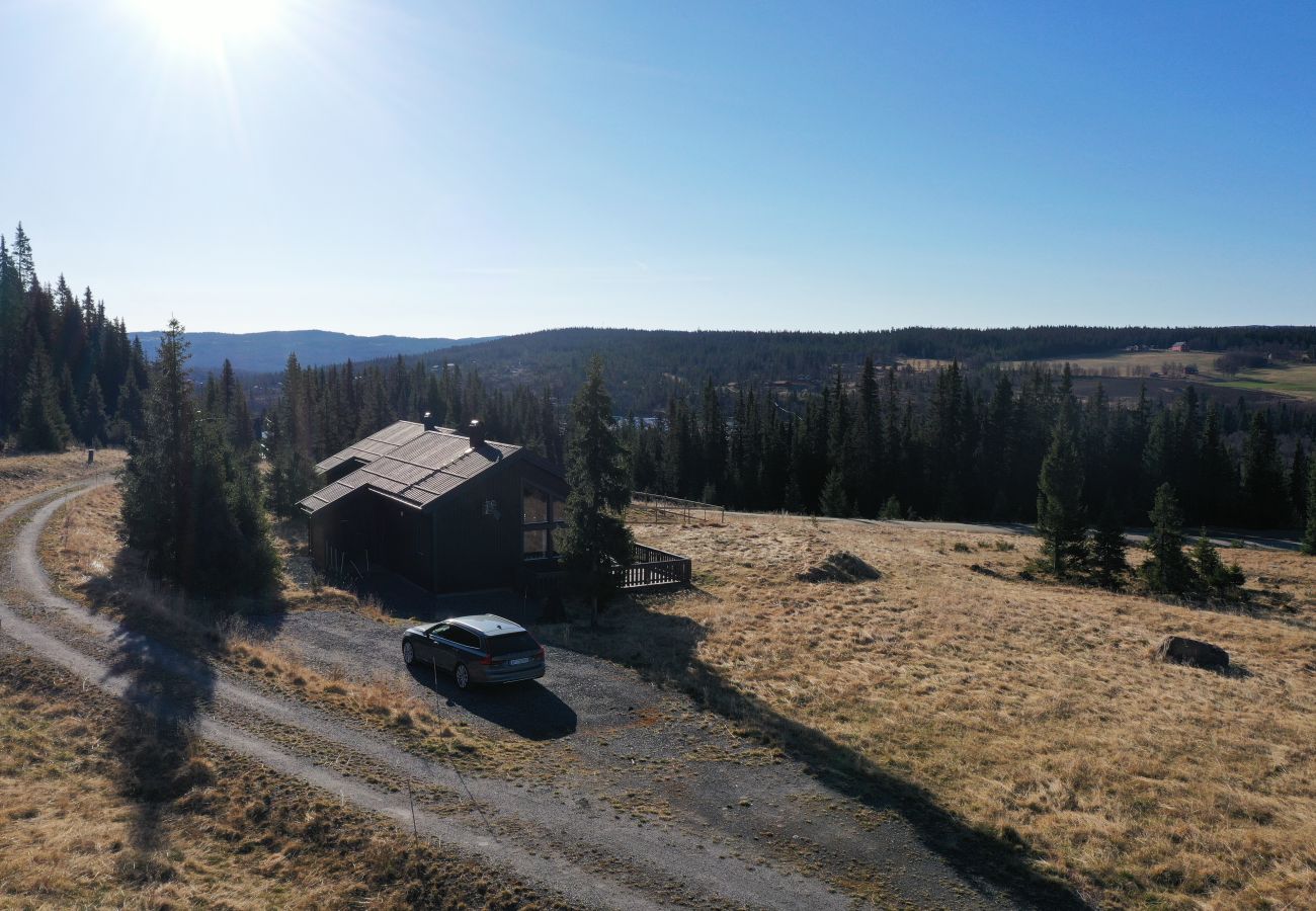 Cabin in Gol - Modern mountain cabin in Tisleidalen, Golsfjellet