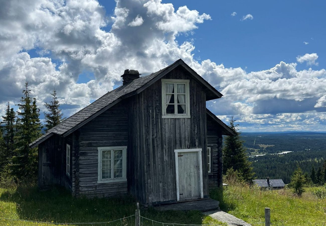 Cabin in Gol - Modern mountain cabin in Tisleidalen, Golsfjellet
