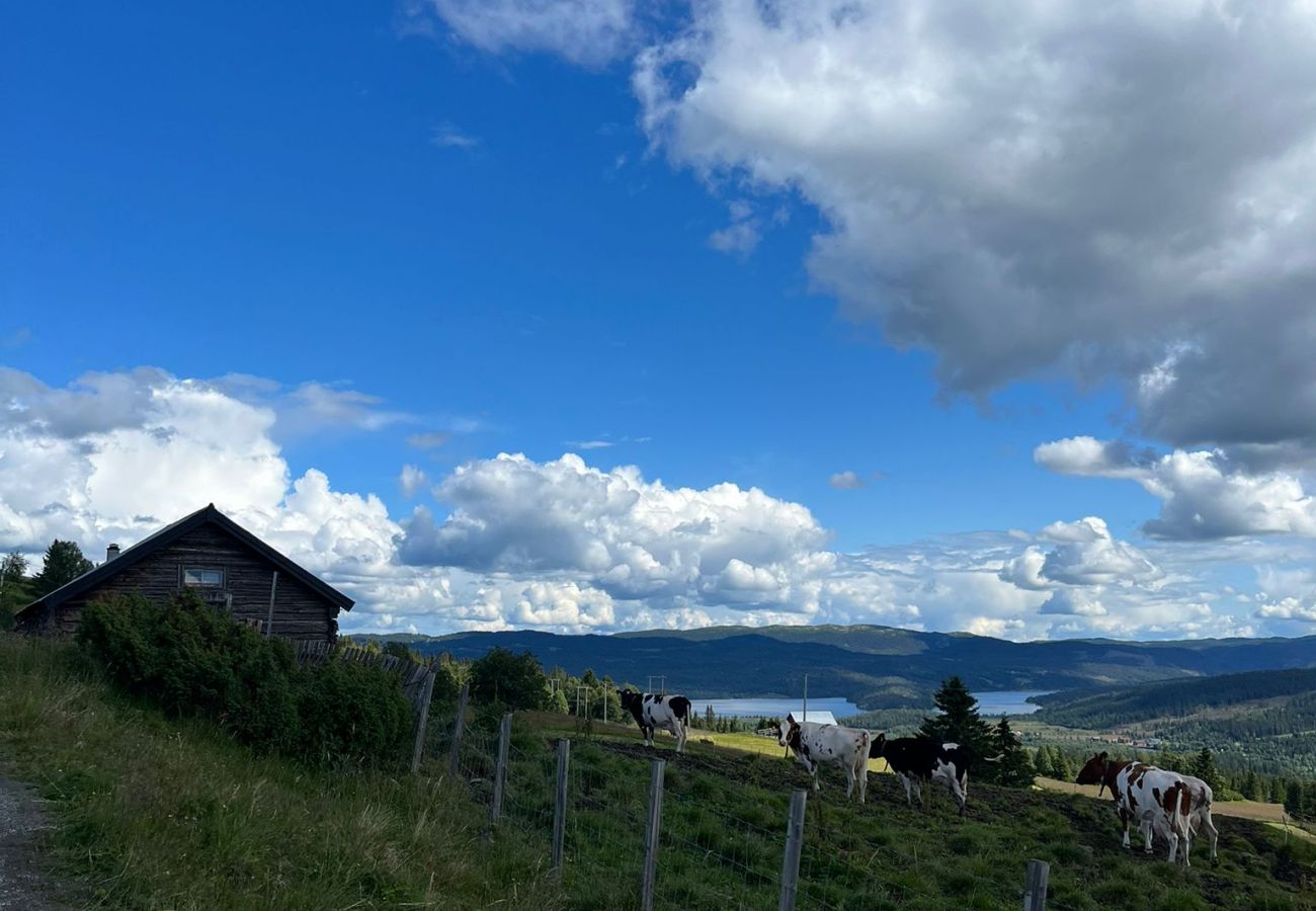 Cabin in Gol - Modern mountain cabin in Tisleidalen, Golsfjellet