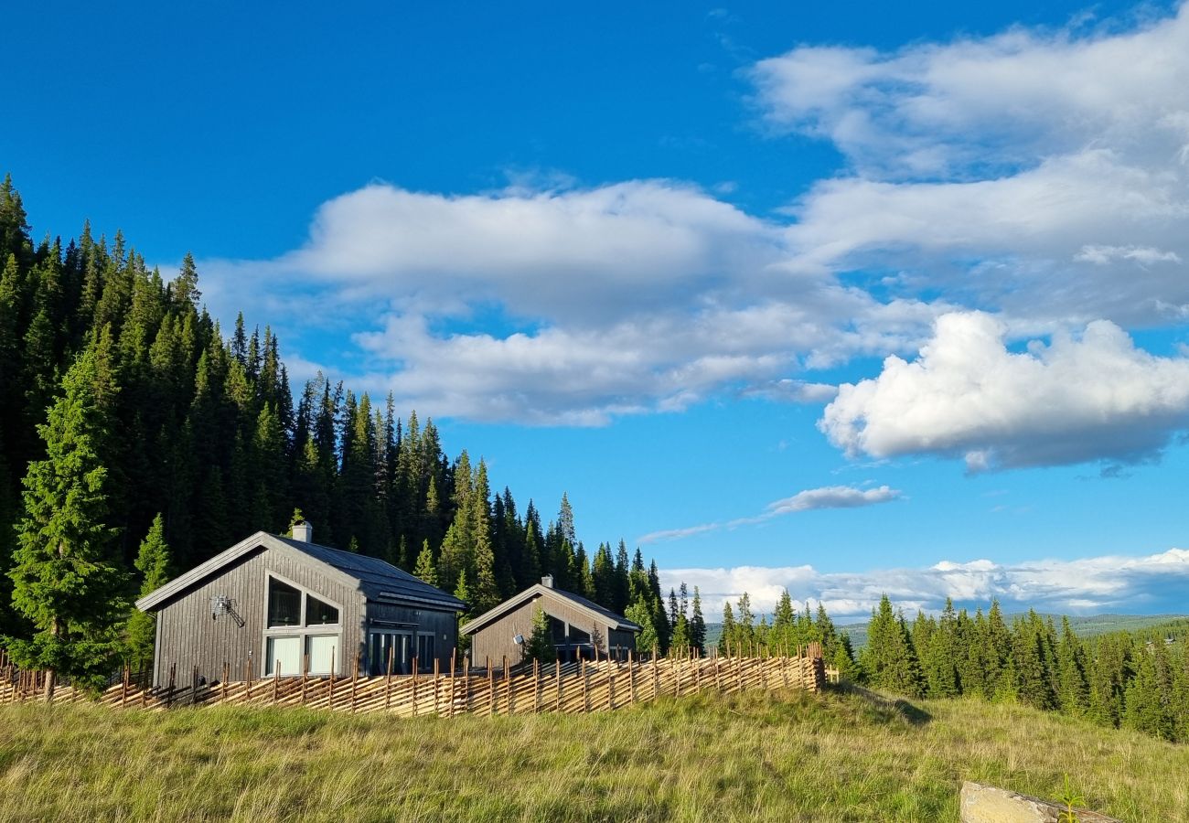 Cabin in Gol - Modern mountain cabin in Tisleidalen, Golsfjellet