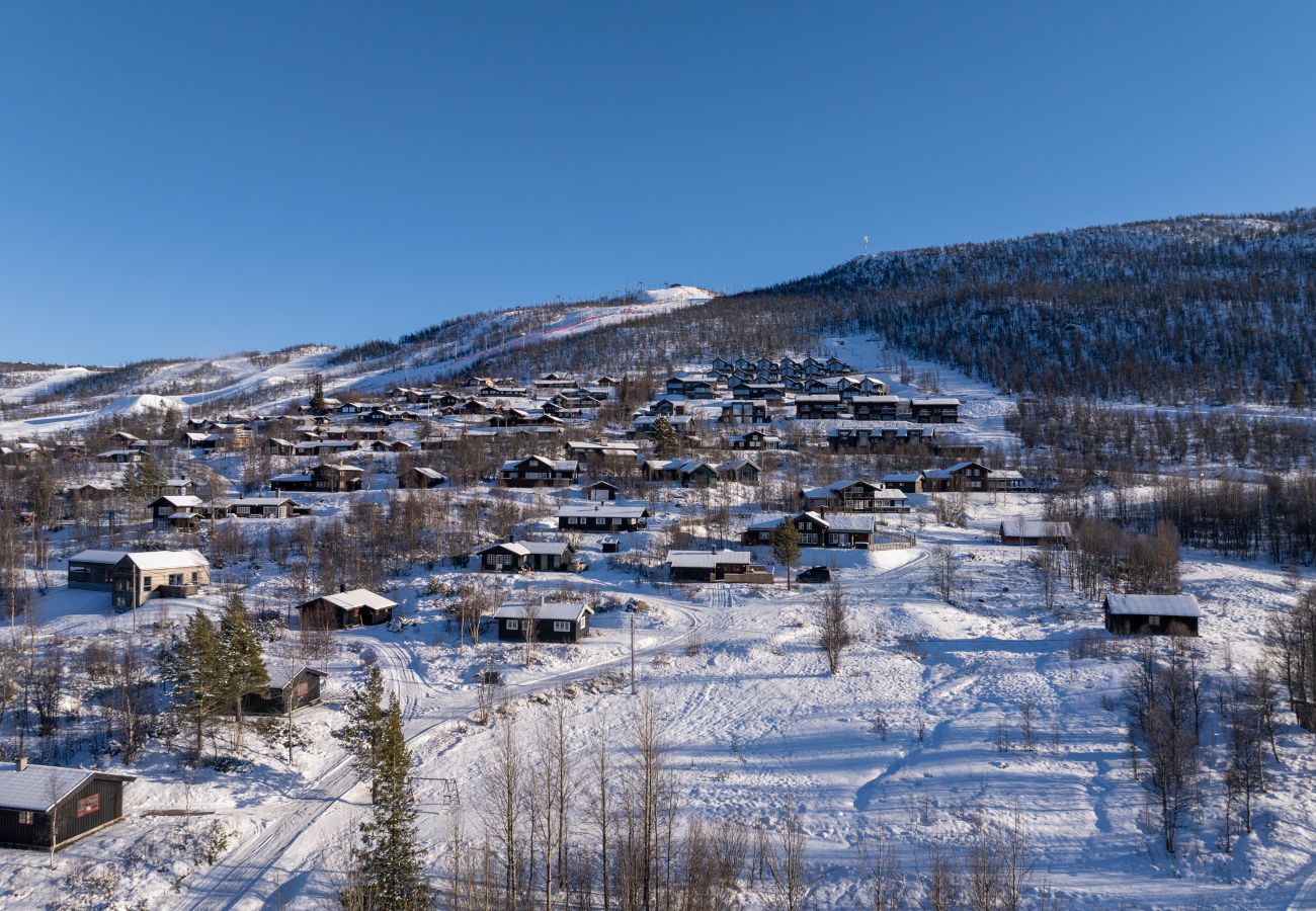 Cabin in Hol - A little cabin dream in Geilo