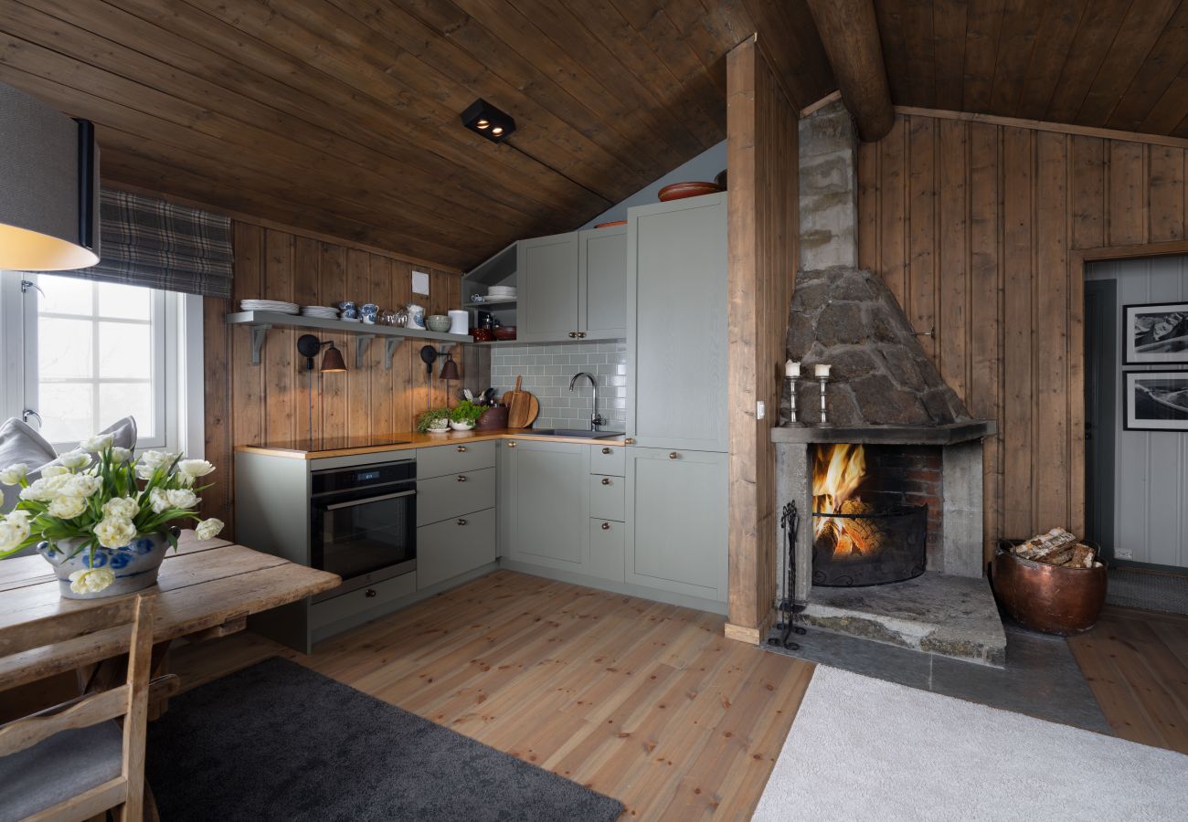 Cabin in Hol - A little cabin dream in Geilo