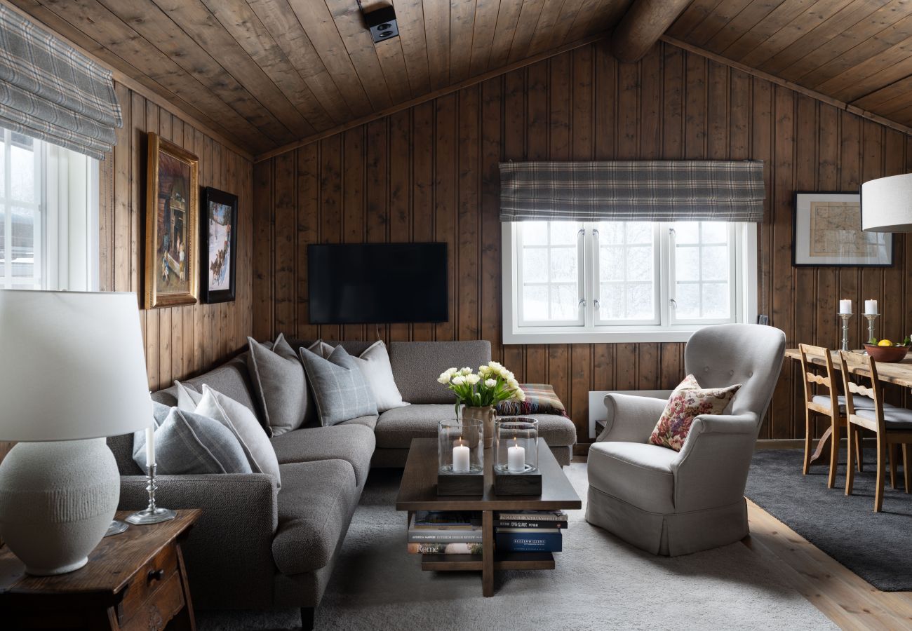 Cabin in Hol - A little cabin dream in Geilo