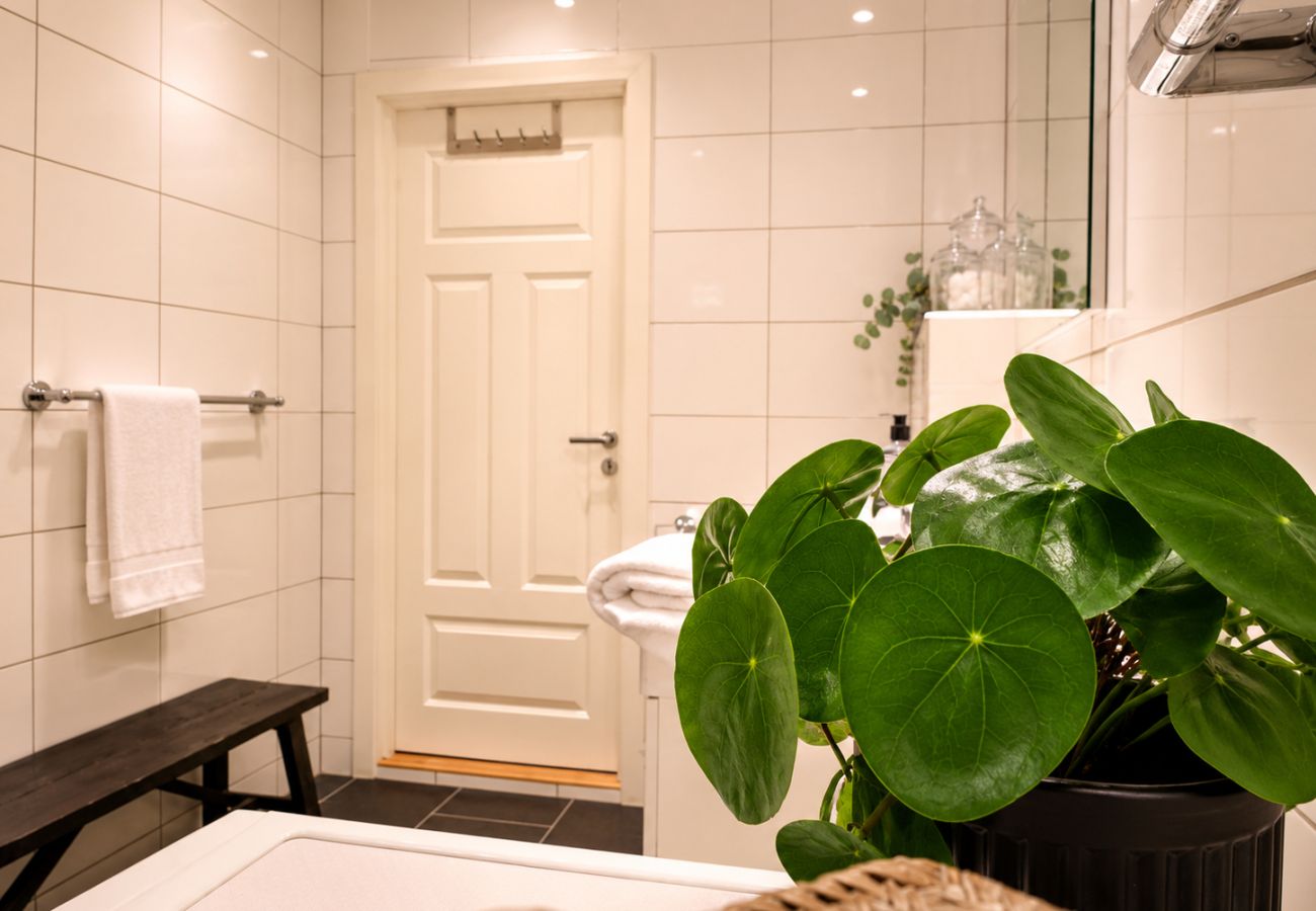 Apartment in Hol - In the heart of magical Geilo – modern apartment with sunny terrace and views