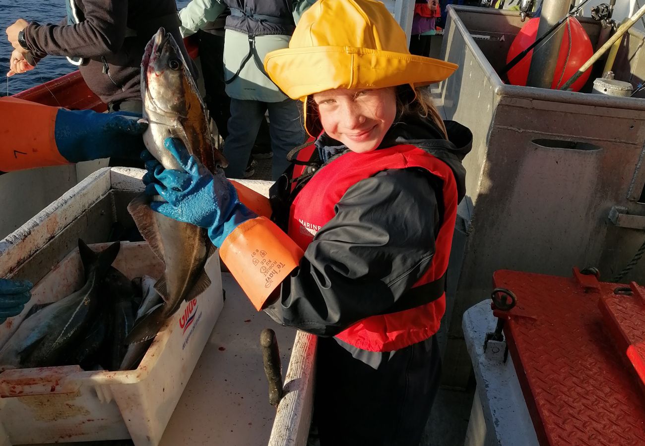 House in Vestvågøy - Spacious Oceanfront house in the Heart of Lofoten 