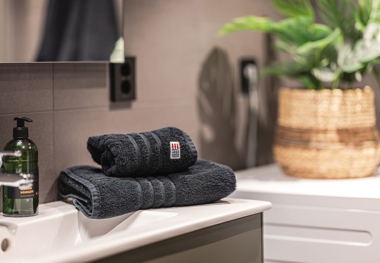 Apartment in Hemsedal - Top apartment in Hemsedal ski inn-ski out