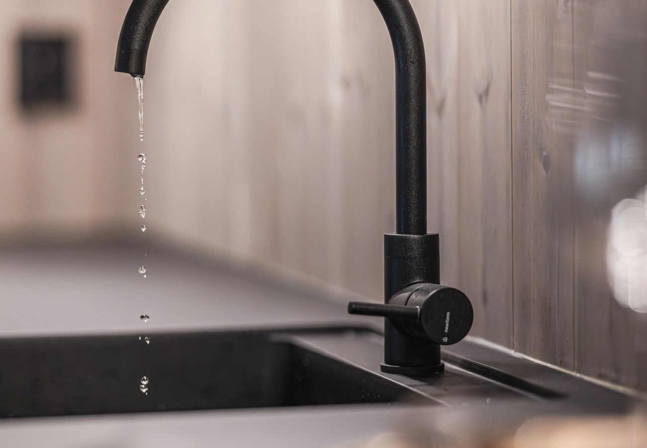 Apartment in Hemsedal - Top apartment in Hemsedal ski inn-ski out