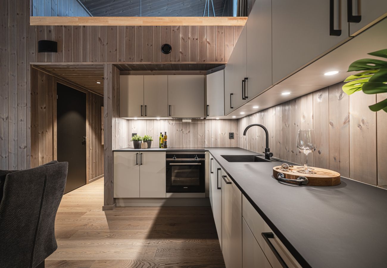 Apartment in Hemsedal - Top apartment in Hemsedal ski inn-ski out