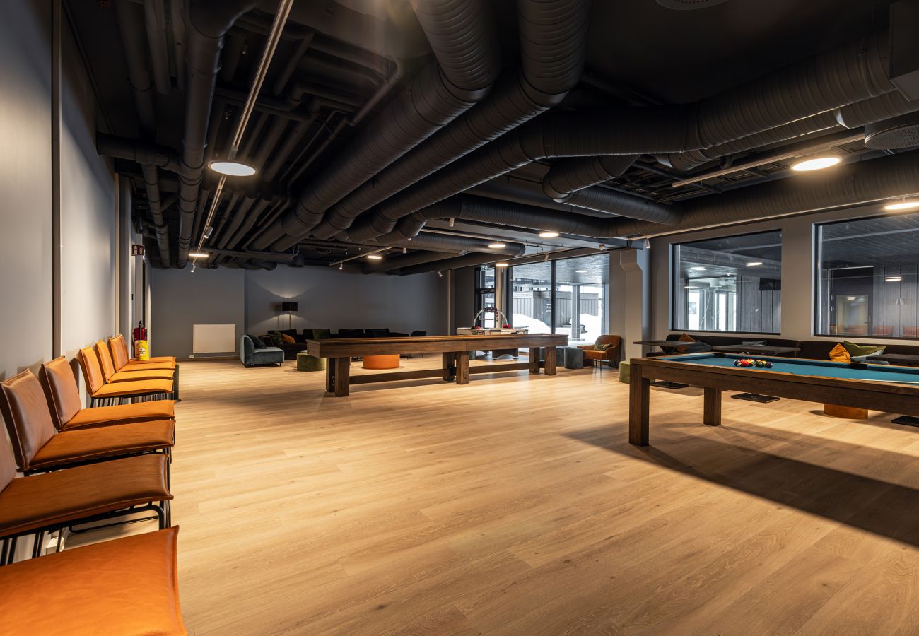 Apartment in Hemsedal - Top apartment in Hemsedal ski inn-ski out