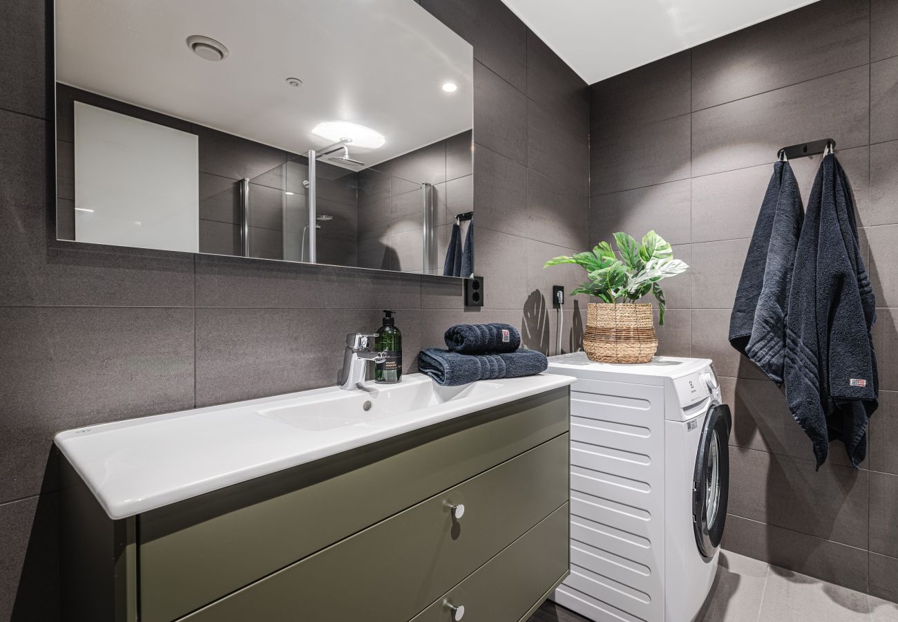 Apartment in Hemsedal - Top apartment in Hemsedal ski inn-ski out