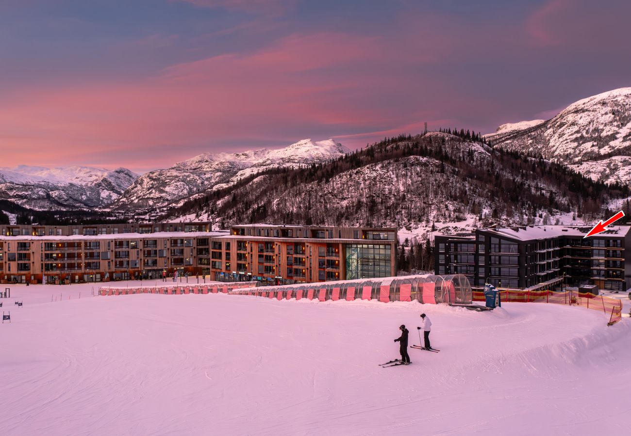 Apartment in Hemsedal - Top apartment in Hemsedal ski inn-ski out