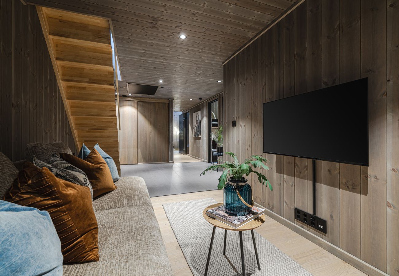 Apartment in Hemsedal - Top apartment in Hemsedal ski inn-ski out