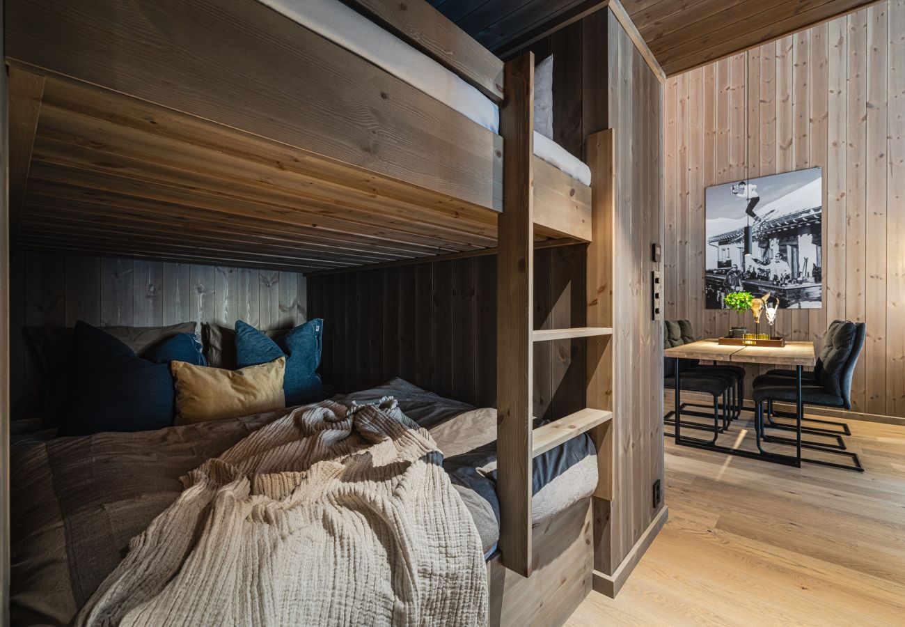 Apartment in Hemsedal - Top apartment in Hemsedal ski inn-ski out