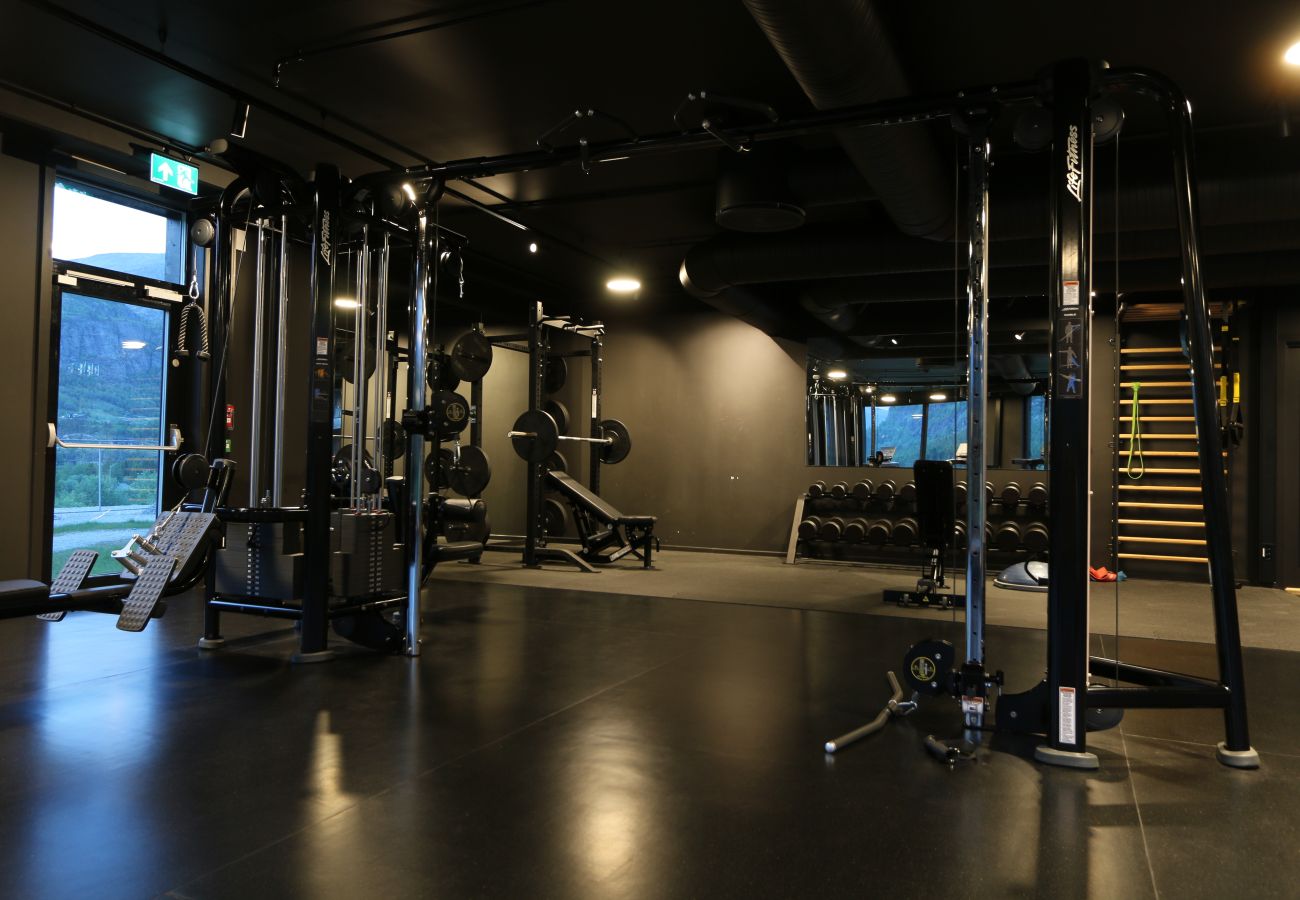 Apartment in Hemsedal - Stylish Apartment in Hemsedal Ski Resort – Ski In/Ski Out