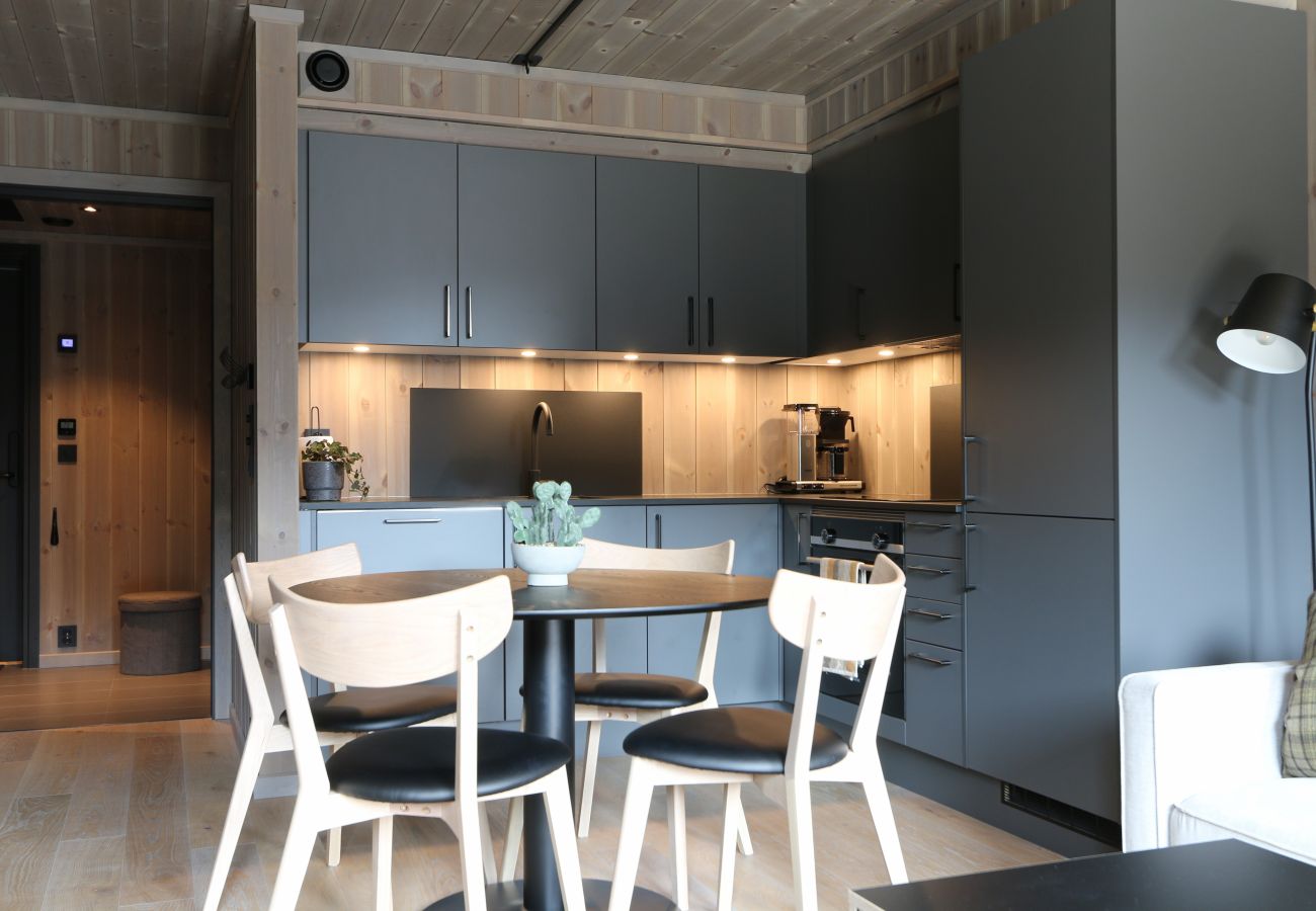 Apartment in Hemsedal - Stylish Apartment in Hemsedal Ski Resort – Ski In/Ski Out