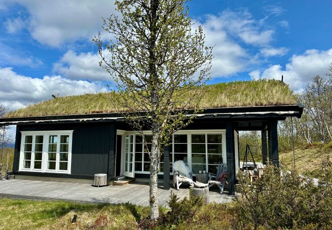 Cabin in Hol - Exclusive mountain lodge with panoramic views and high standard – Kikut/Geilo Cabin in Hol - Exclusive mountain lodge with panoramic views and high standard – Kikut/Geilo