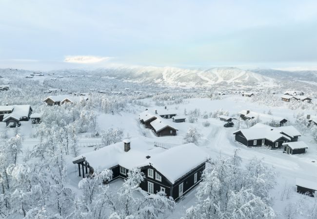 Cabin in Hol - Exclusive mountain lodge with panoramic views and high standard – Kikut/Geilo Cabin in Hol - Exclusive mountain lodge with panoramic views and high standard – Kikut/Geilo
