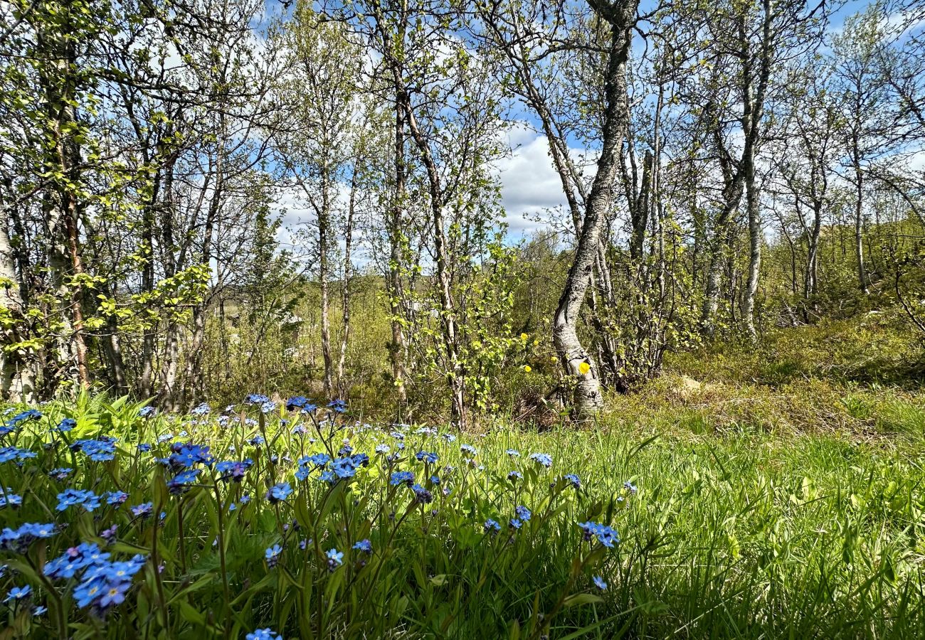 Cabin in Hol - Exclusive mountain lodge with panoramic views and high standard – Kikut/Geilo